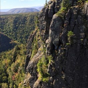 Meet your Posher, Sherry